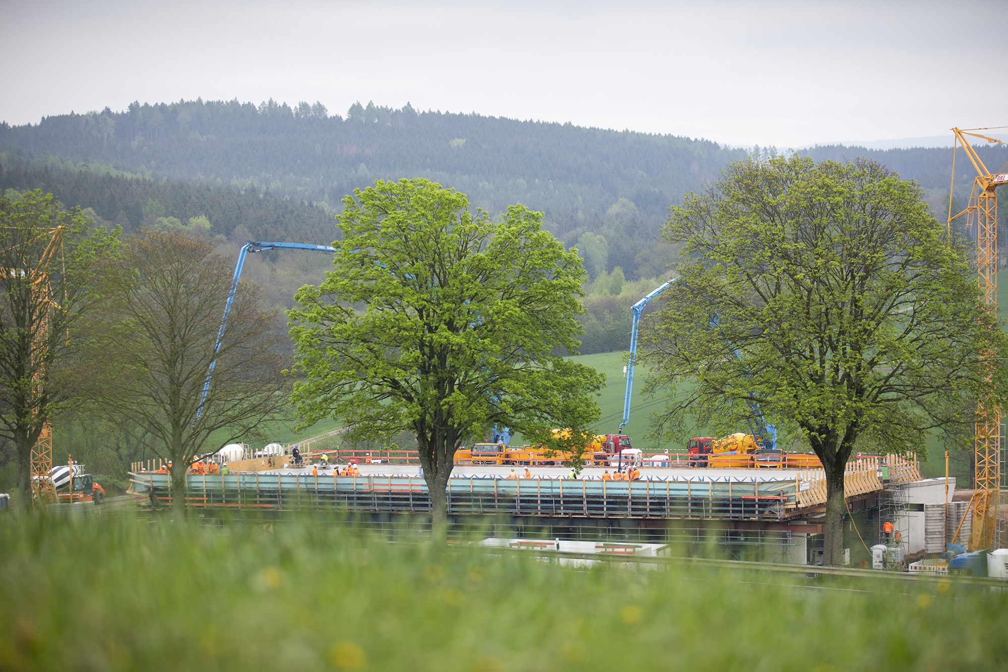 Bauarbeiten im Hintergrund, teilweise verdeckt von einem Baum.