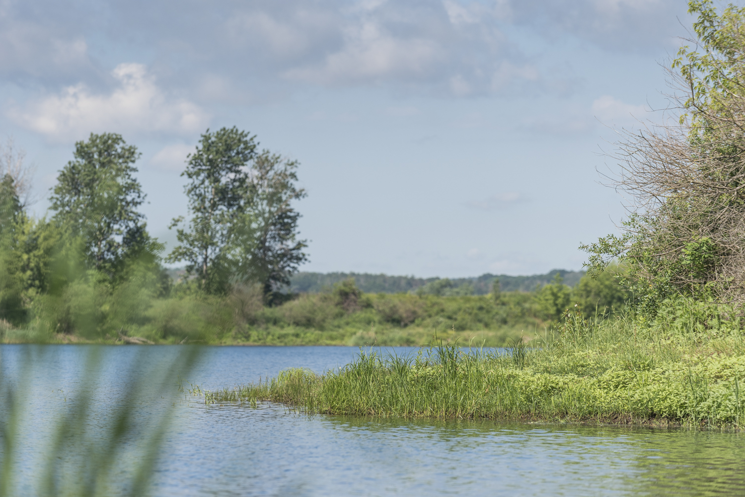 Eine Landschaft mit einem ruhigen See im Vordergrund.