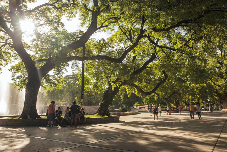 Park mit zahlreichen großen Bäumen.